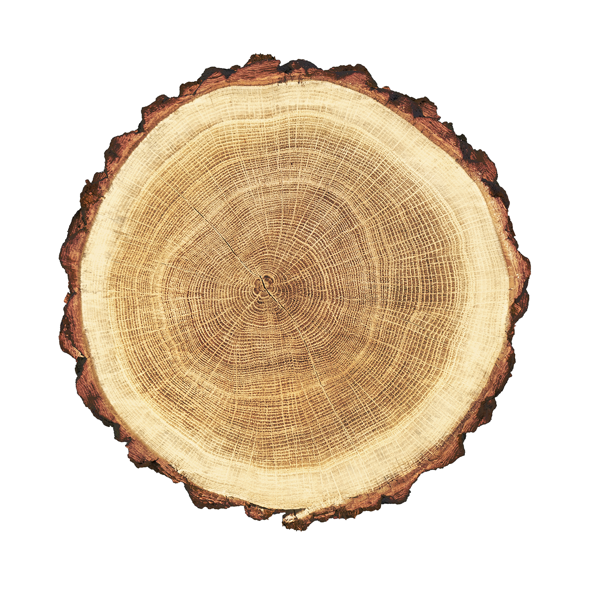 https://demolpfdb.icws.fr/wp-content/uploads/2017/05/product_03.png